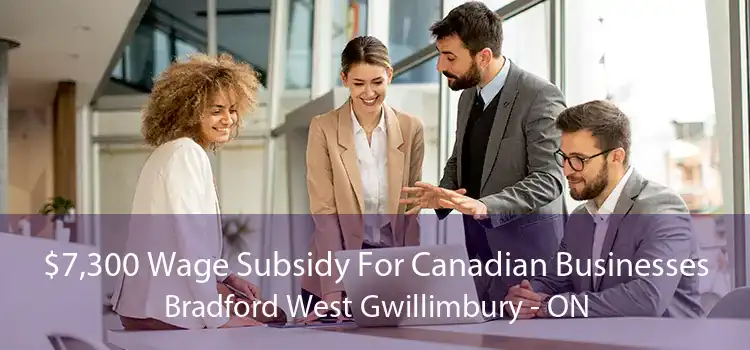 $7,300 Wage Subsidy For Canadian Businesses Bradford West Gwillimbury - ON