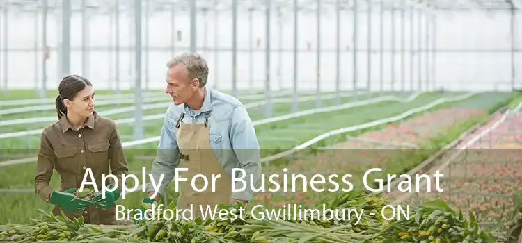 Apply For Business Grant Bradford West Gwillimbury - ON